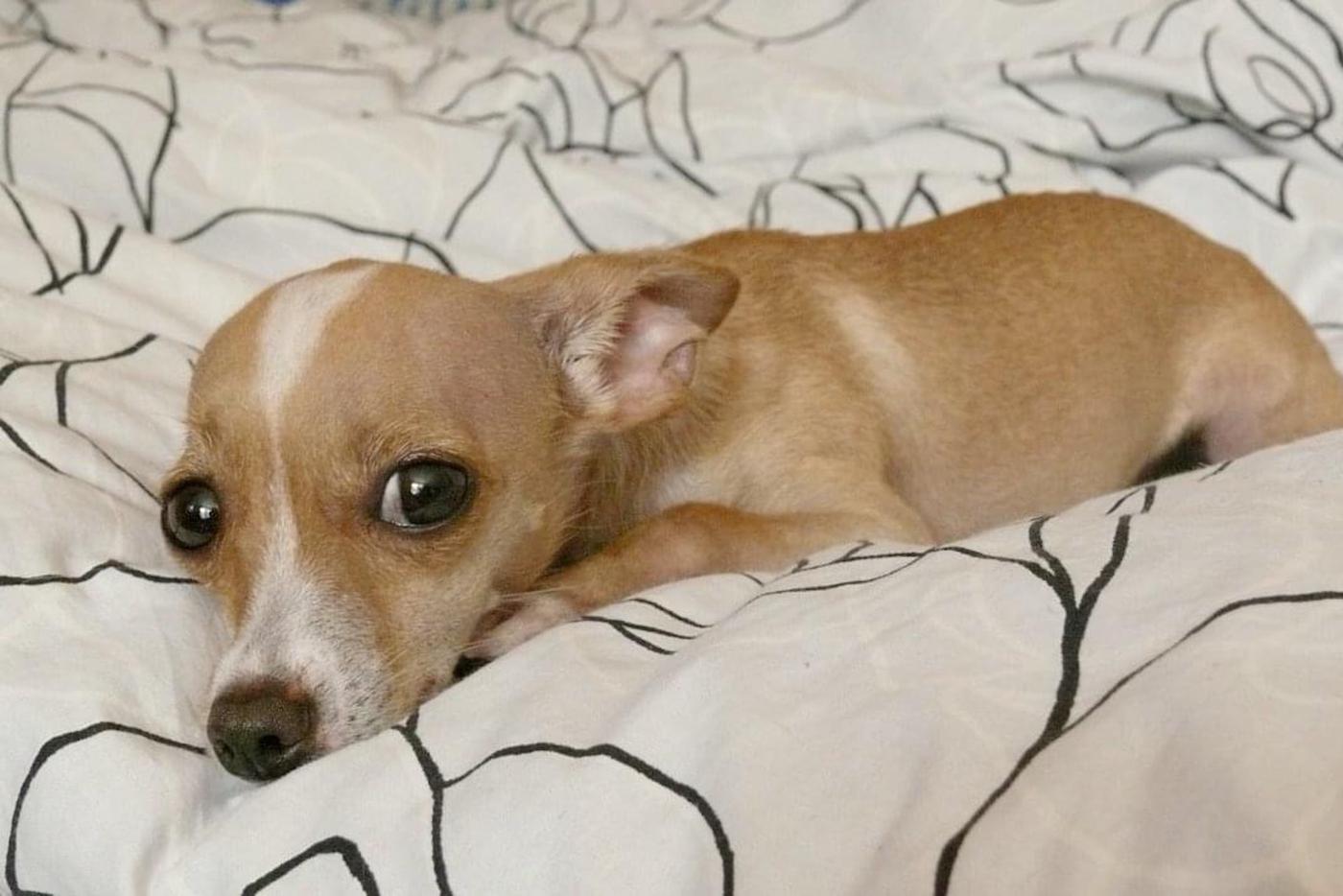 Наде две года и месяц.