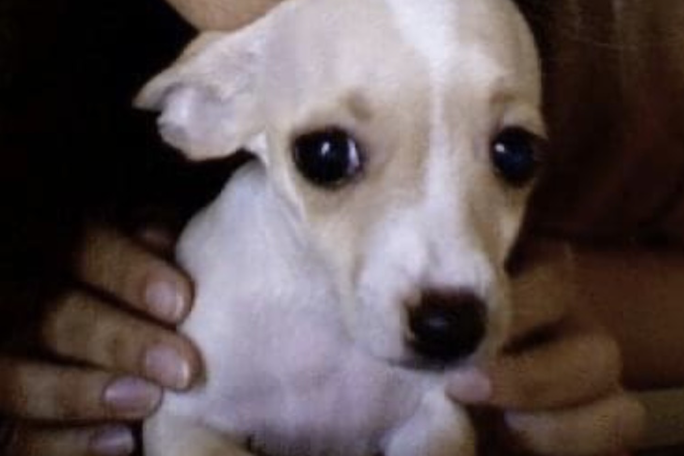 Со мной, Наде 8 месяцев.