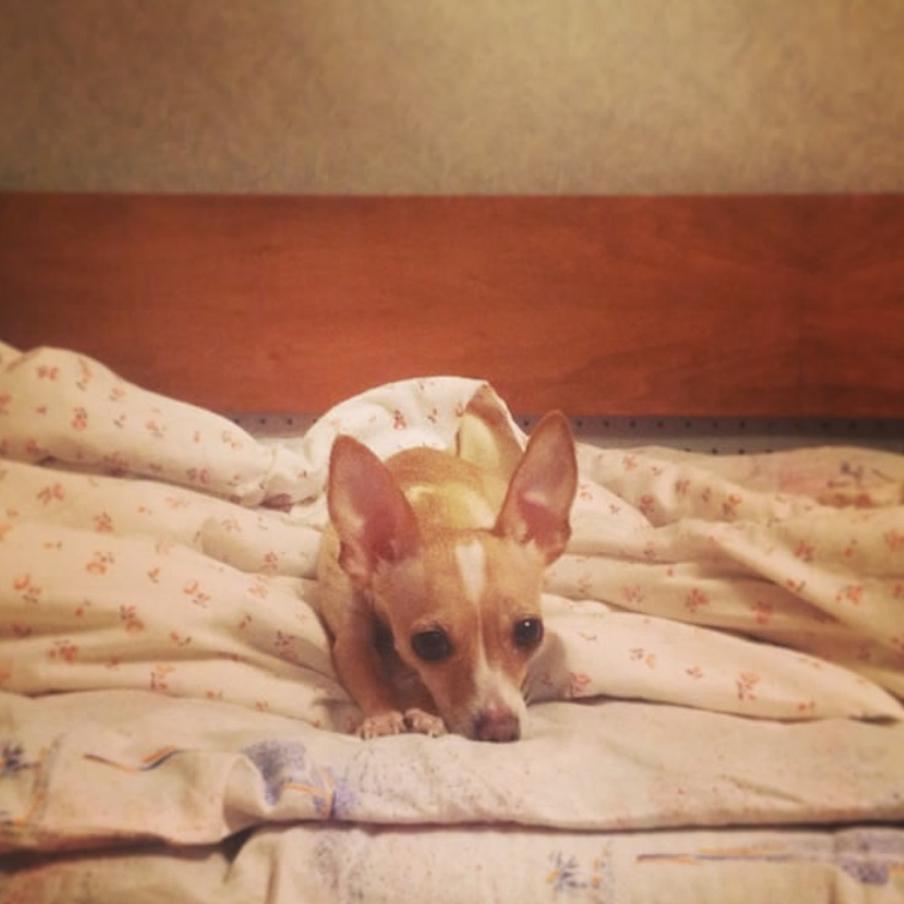 Наде 3 года.