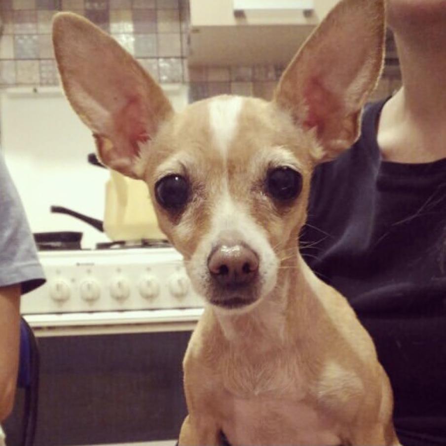 Наде семь лет.