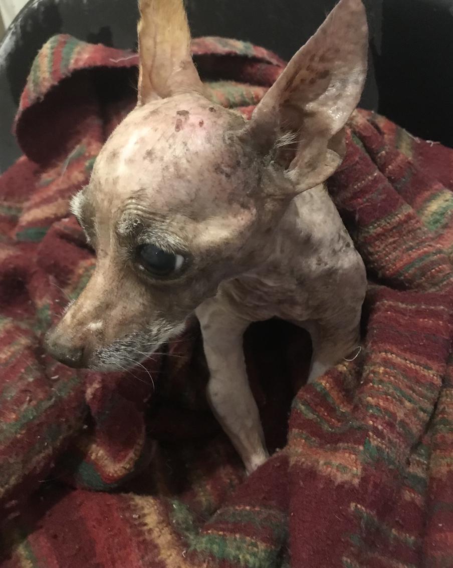 Последняя фотография. 9 сентября 2022 года. За 17 дней перед уходом.