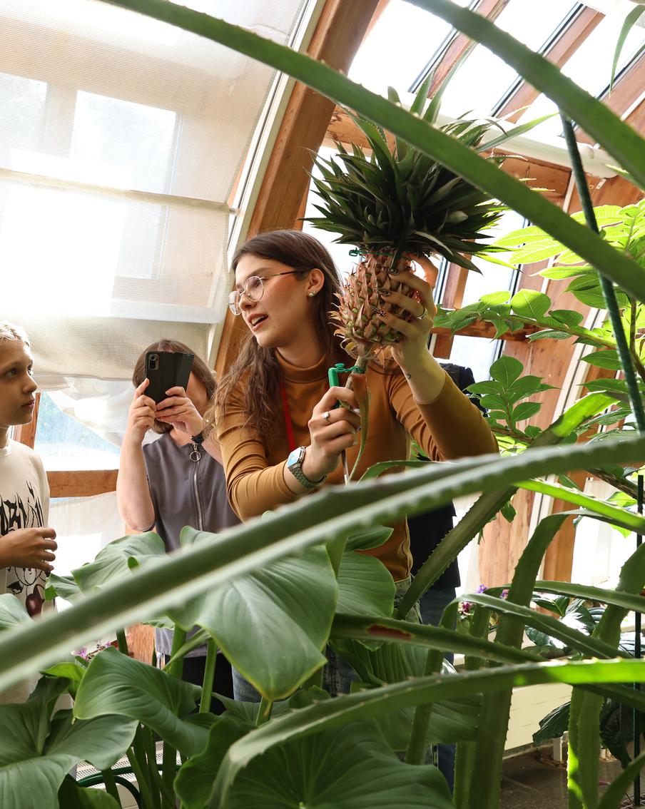 В Царицыно вырос ананас! Metro попробовало его первым