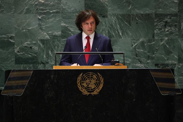 Грузинские власти в ООН призвали Южную Осетию и Абхазию к возвращению в состав Грузии