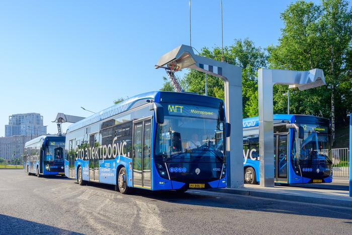 2,5 га спасенных деревьев за 5 лет: как переход Мосгортранса на электронные путевые листы улучшит экологию