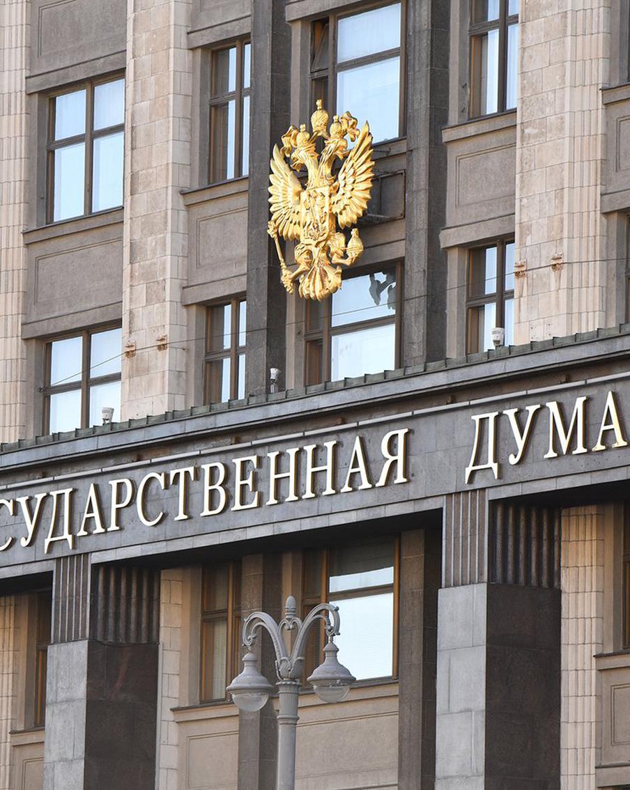 В Госдуму внесли пять законов о противодействии нелегальной миграции