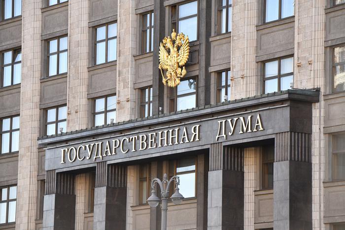 В Госдуму внесли пять законов о противодействии нелегальной миграции