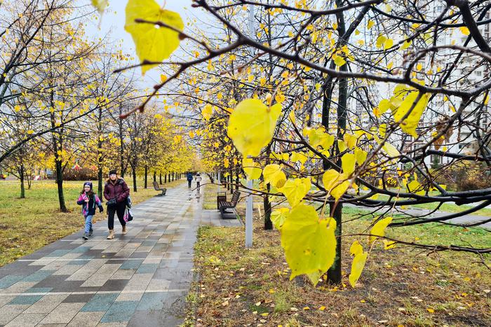 Синоптик рассказала, когда в столицу придёт похолодание и когда в городе могут включить отопление