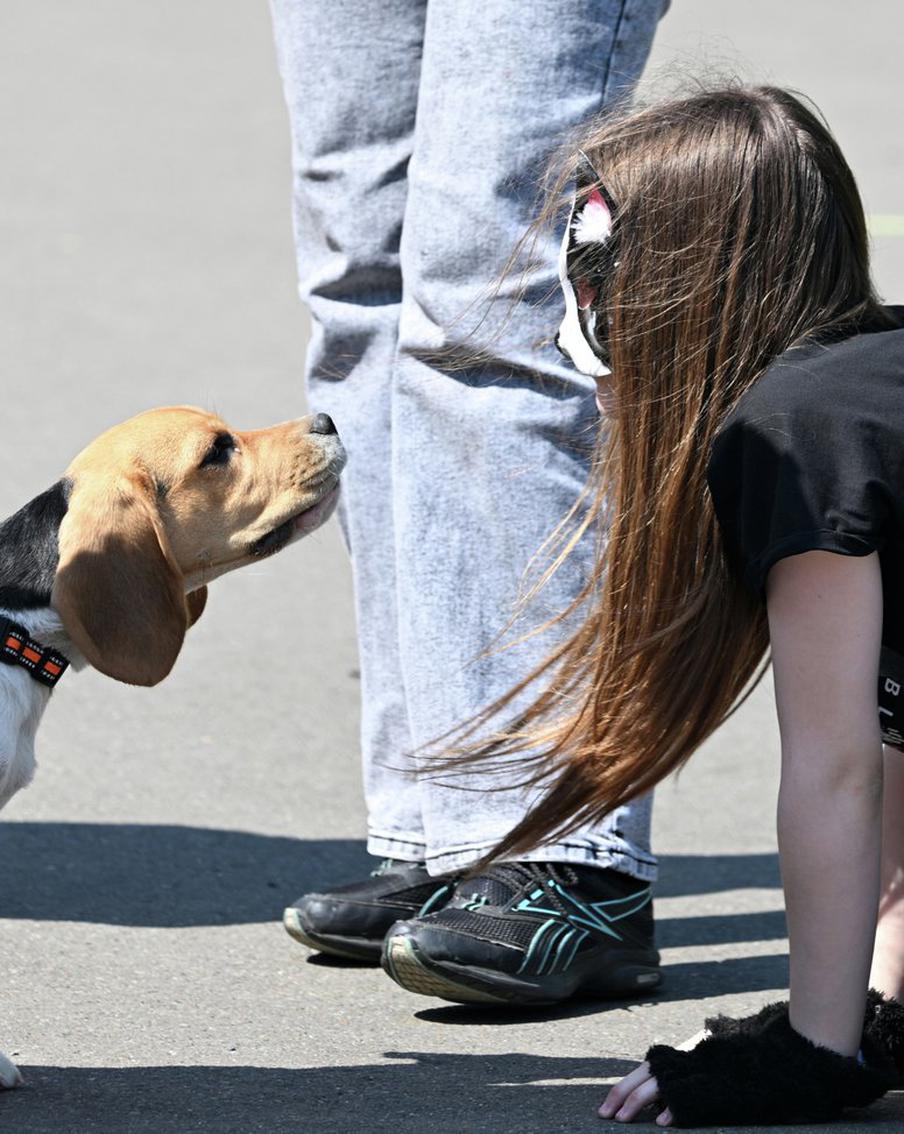 В Совете Федерации поддержали идею введения ответственности для родителей детей-квадроберов