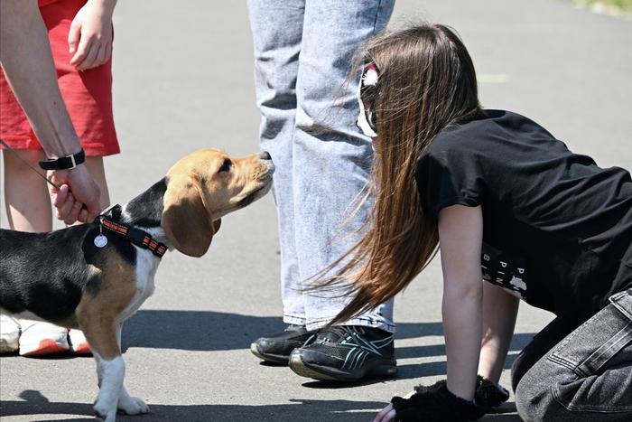 В Совете Федерации поддержали идею введения ответственности для родителей детей-квадроберов
