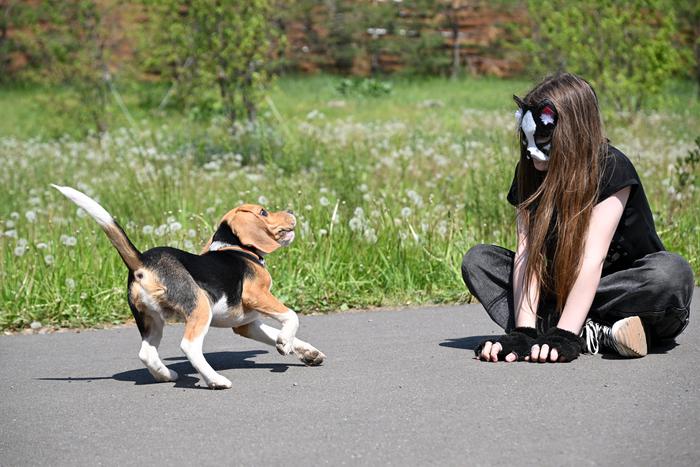 Какое наказание может грозить родителям детей-квадроберов в России