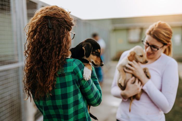 Помогаем хвостатым и отмечаем Всемирный день защиты животных
