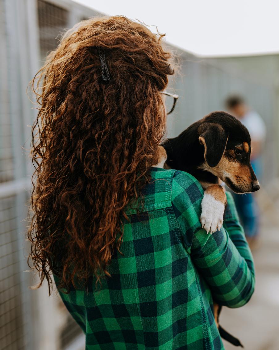 Помогаем хвостатым и отмечаем Всемирный день защиты животных