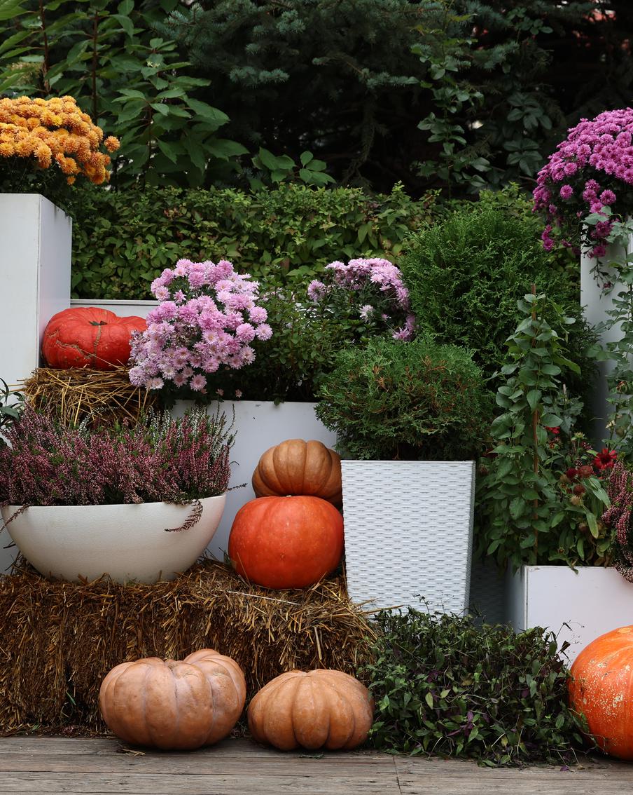 В Москве граффити расписывают даже по тыкве