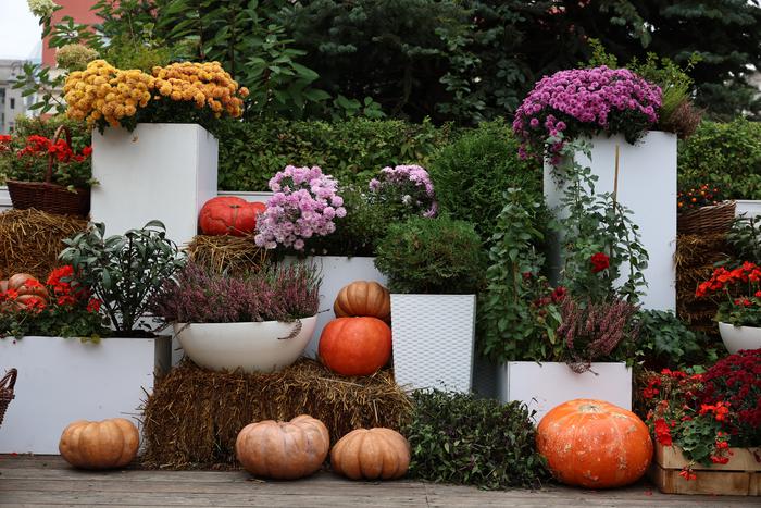 В Москве граффити расписывают даже по тыкве