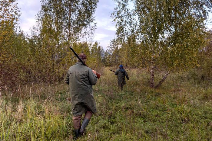 В Башкирии сын выстрелил в голову отцу во время охоты на лося