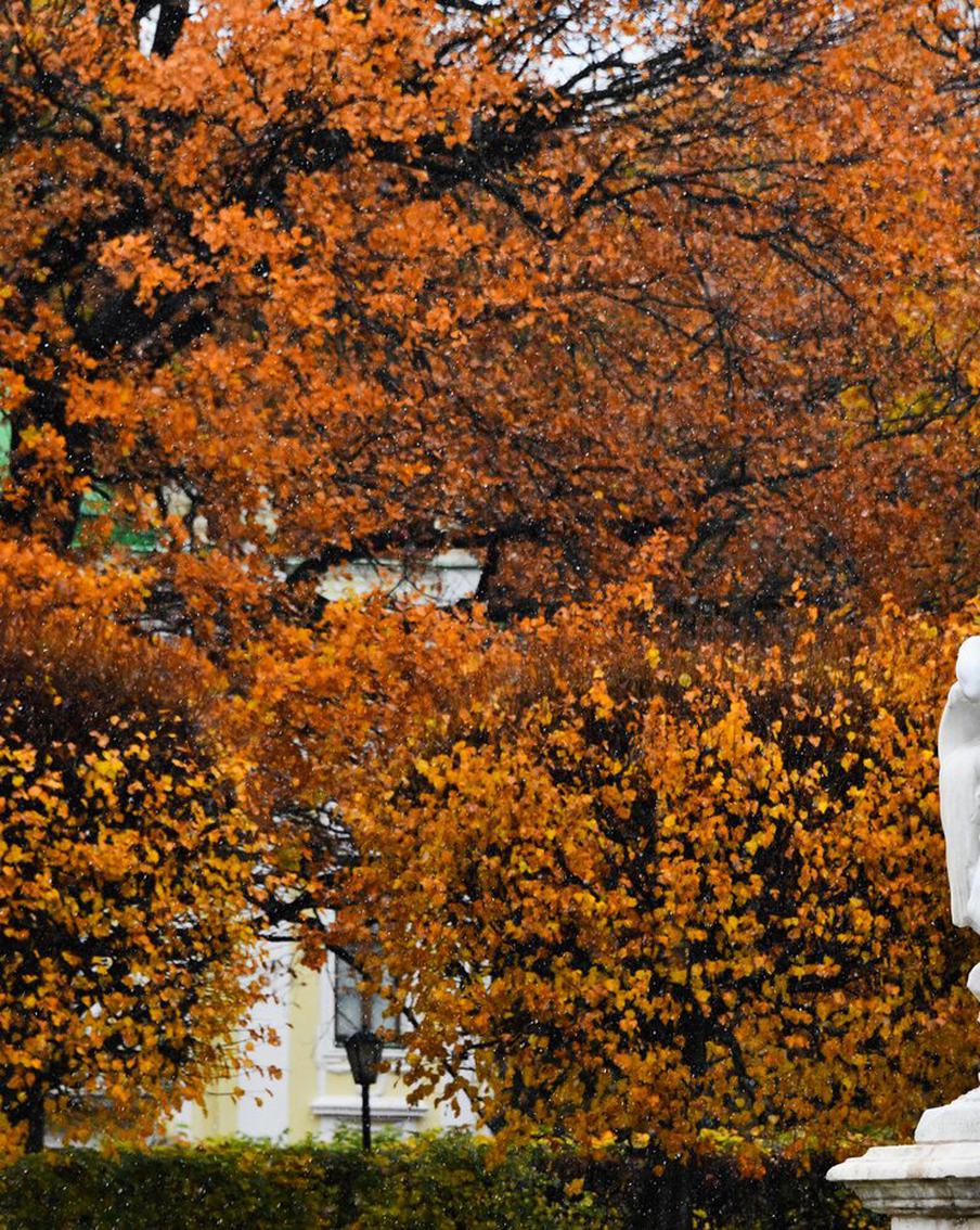 Какие места в Москве идеальны для осенних съёмок