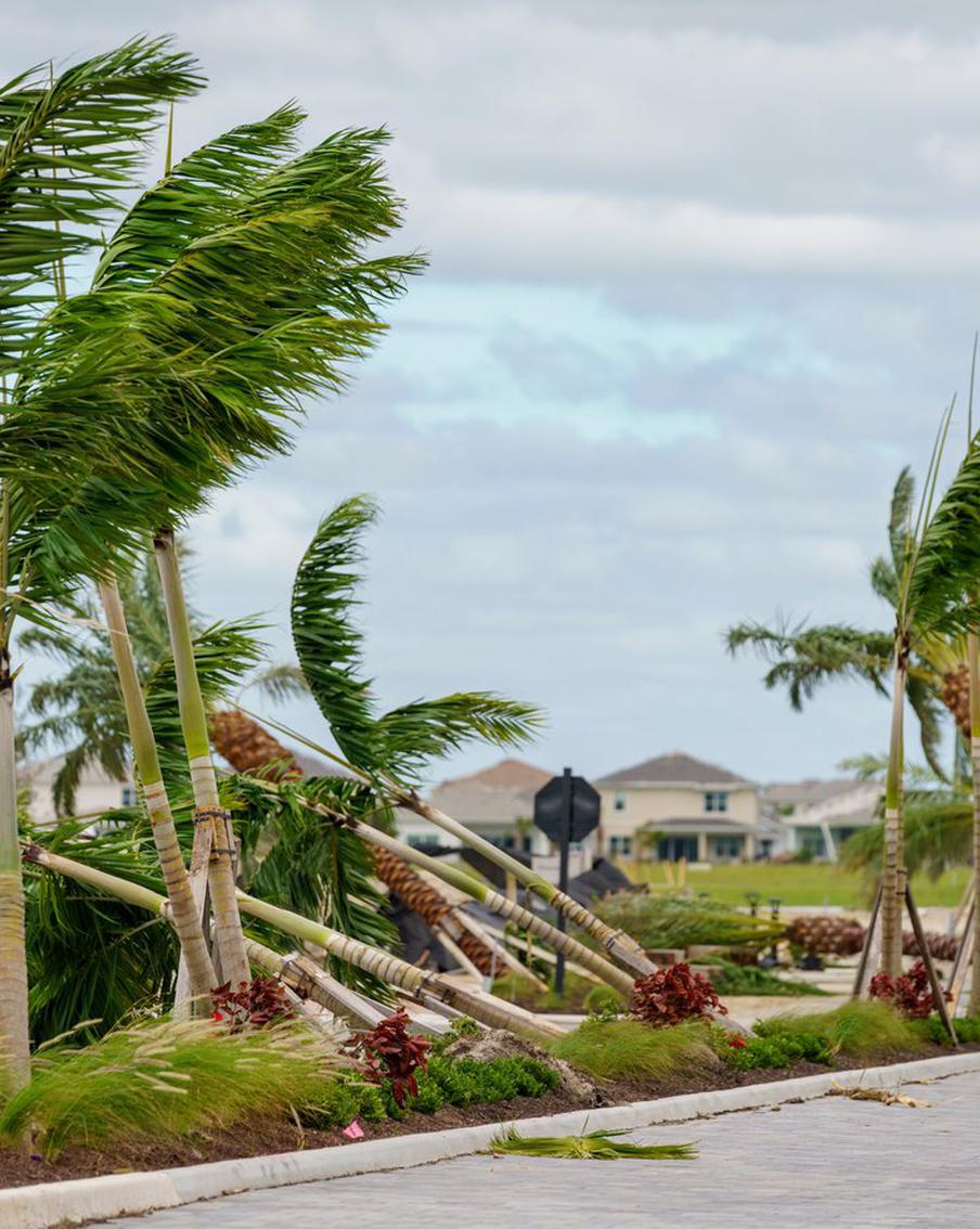 Кандидат в вице-президенты США обвинил Россию в создании урагана "Милтон"