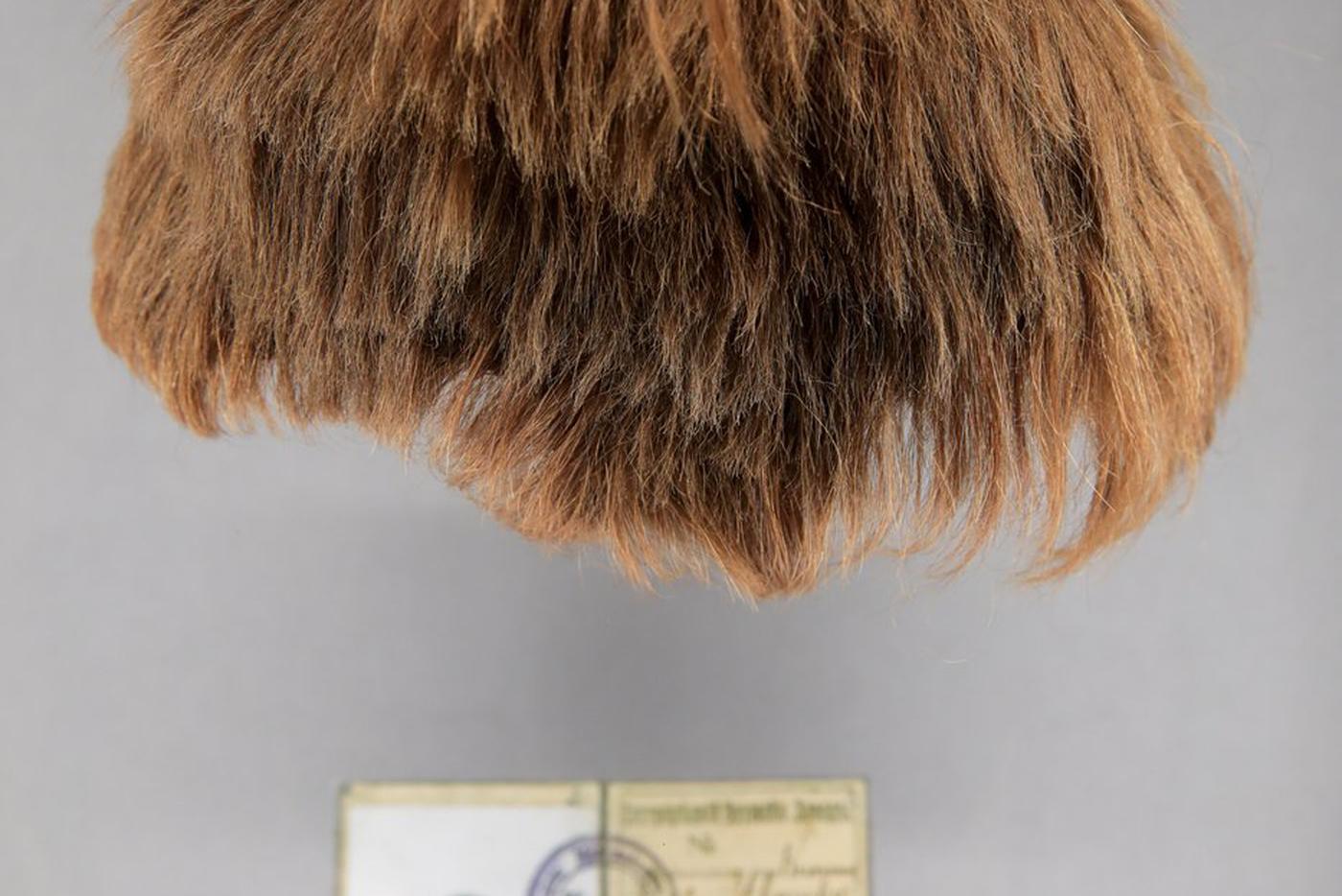 Выставка "Ленин" раскрывает тайну личности вождя пролетариата