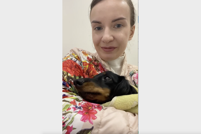 "Сотрясение мозга, перелом таза, проблемы с печенью": какова судьба таксы, избитой столичным учителем