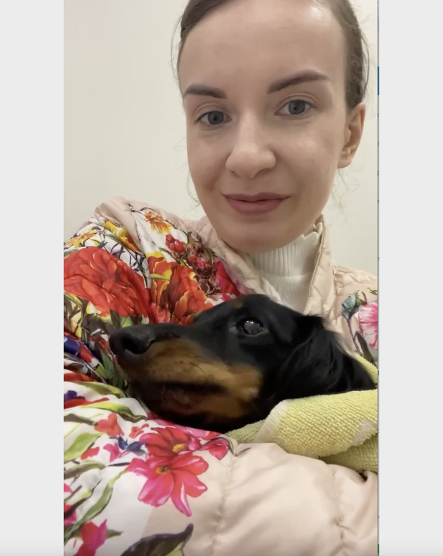 "Сотрясение мозга, перелом таза, проблемы с печенью": какова судьба таксы, избитой столичным учителем