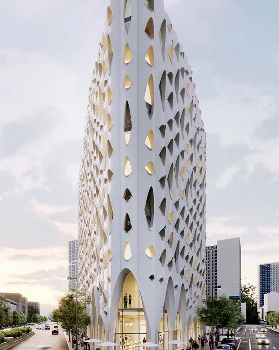 Осины – символ Денвера.