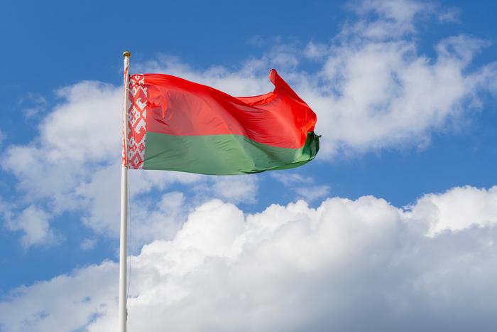 Президентские выборы в Белоруссии пройдут 26 января 2025 года