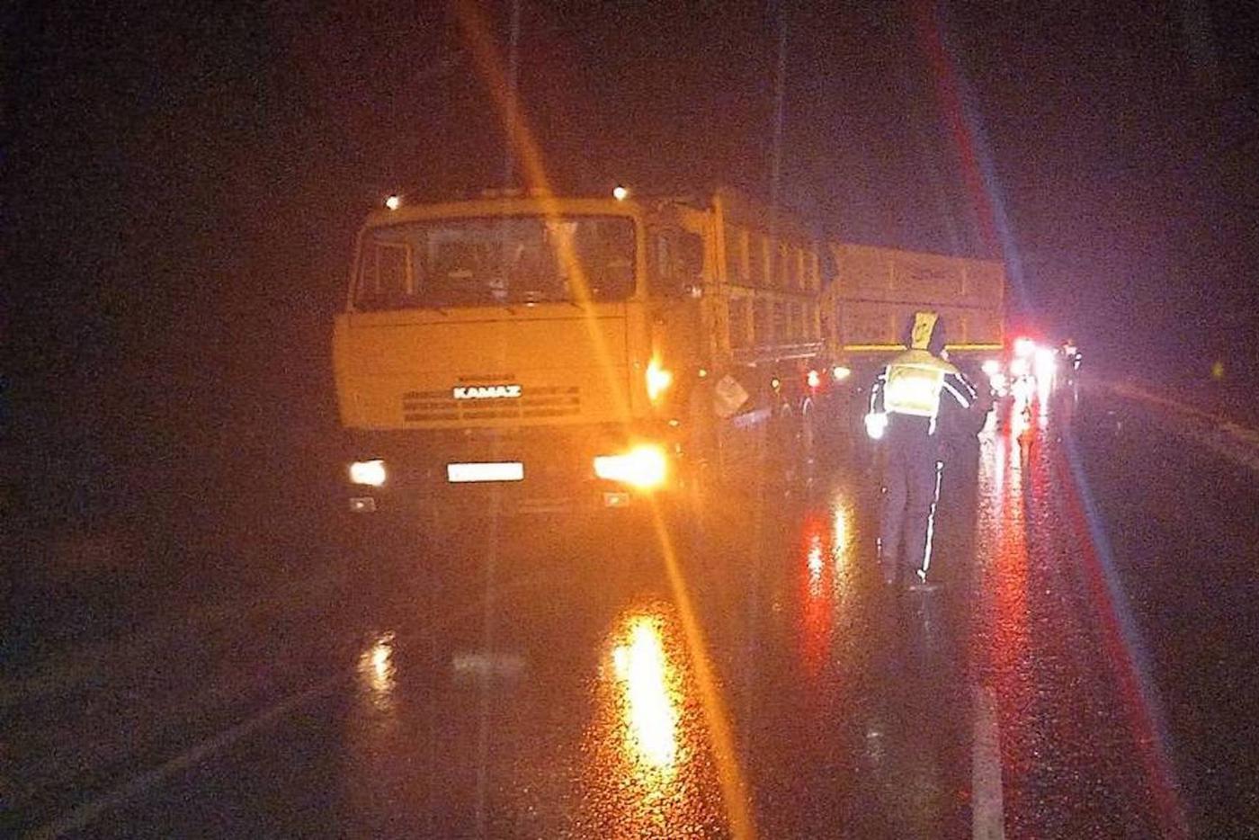 Три кабана стали виновниками ДТП в Упоровском районе Тюменской области