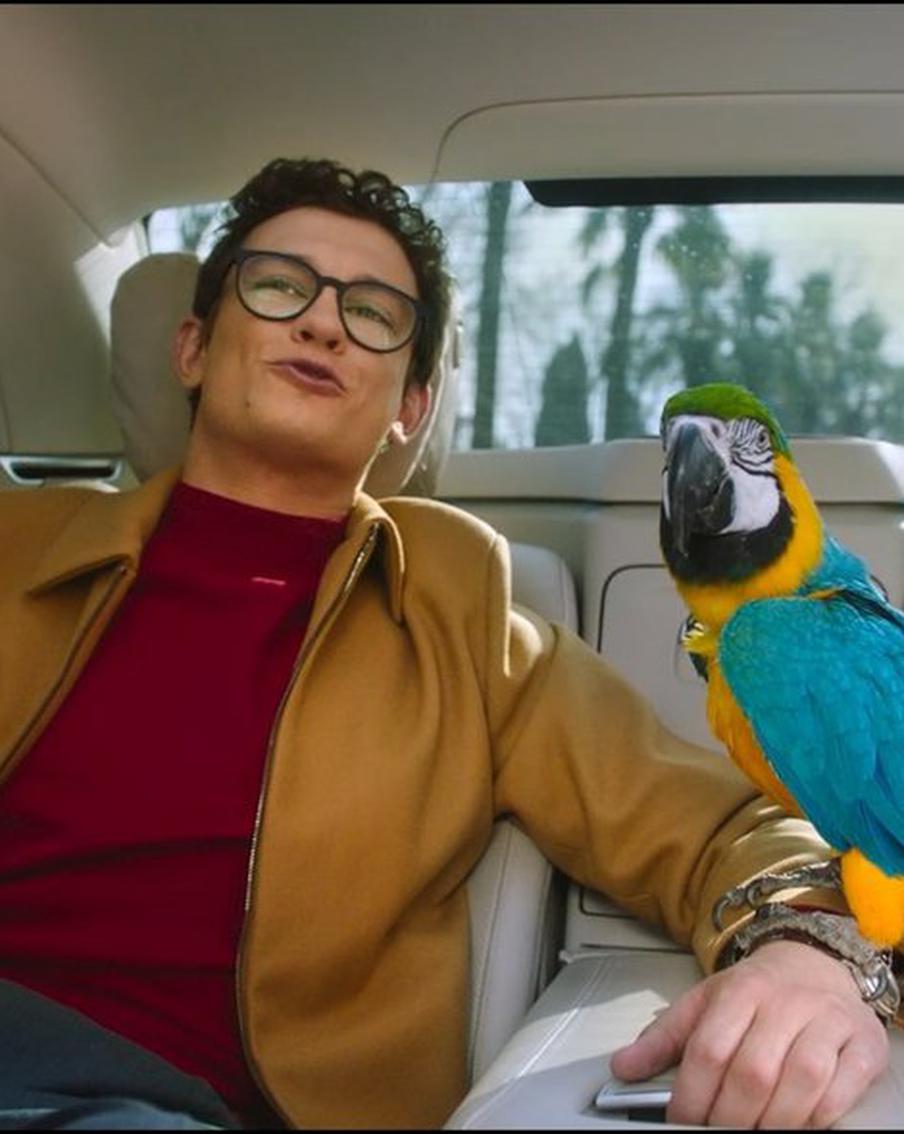 На съёмках фильма "Возвращение попугая Кеши" Кологривый кормил своего пернатого напарника блинами