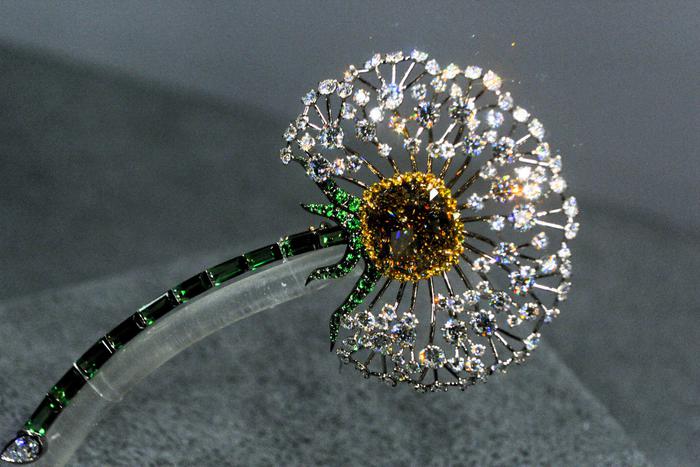 Как бриллиантовый одуванчик может стать памятником истории