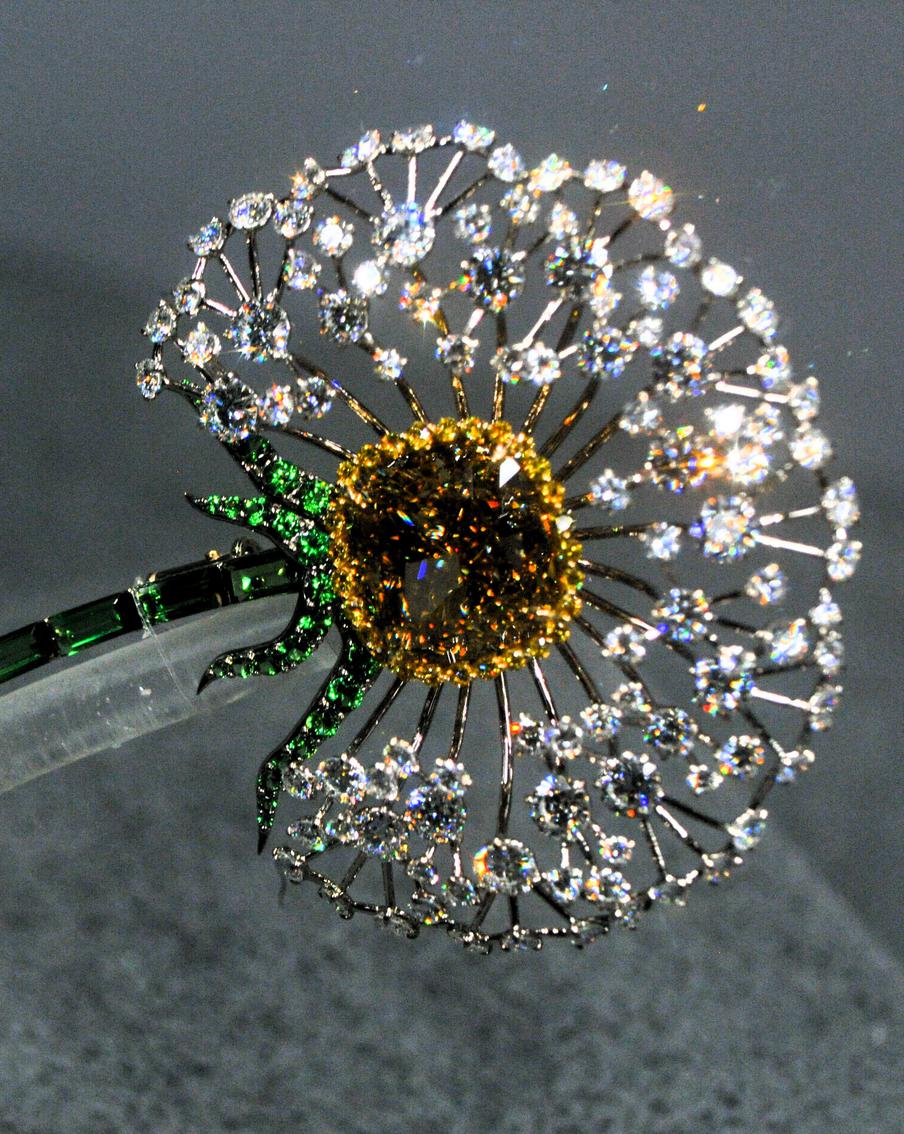 Как бриллиантовый одуванчик может стать памятником истории