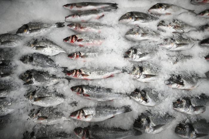 Консервы и северная рыба: что отправляют участникам СВО поставщики рыбных рынков