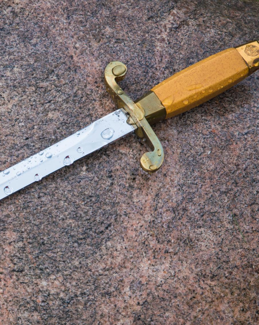 Московские Бонни и Клайд разорили антикварную лавку