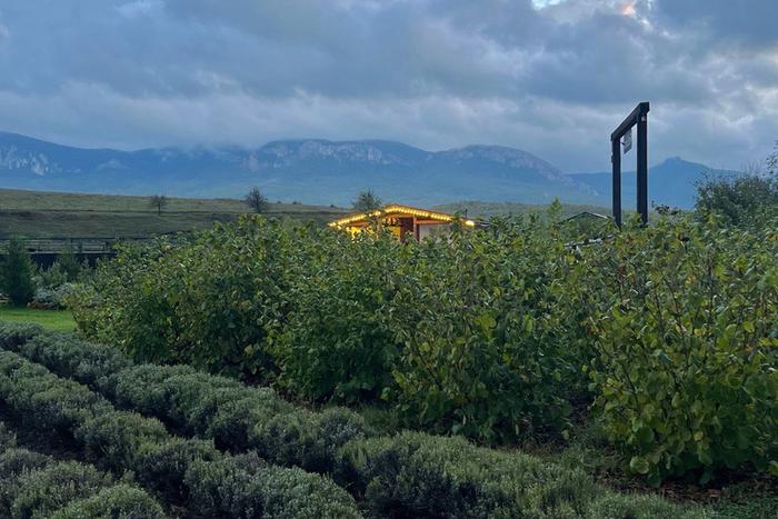 Зачем ехать в Крым осенью: рассказываем, что там делать в межсезонье