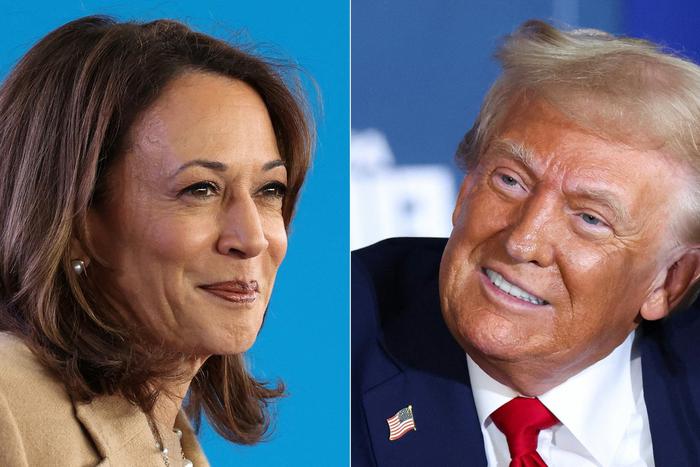 Ослы против слонов: как устроены выборы в США