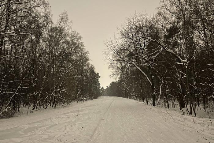Синоптик рассказал, когда полностью растает выпавший в Москве снег