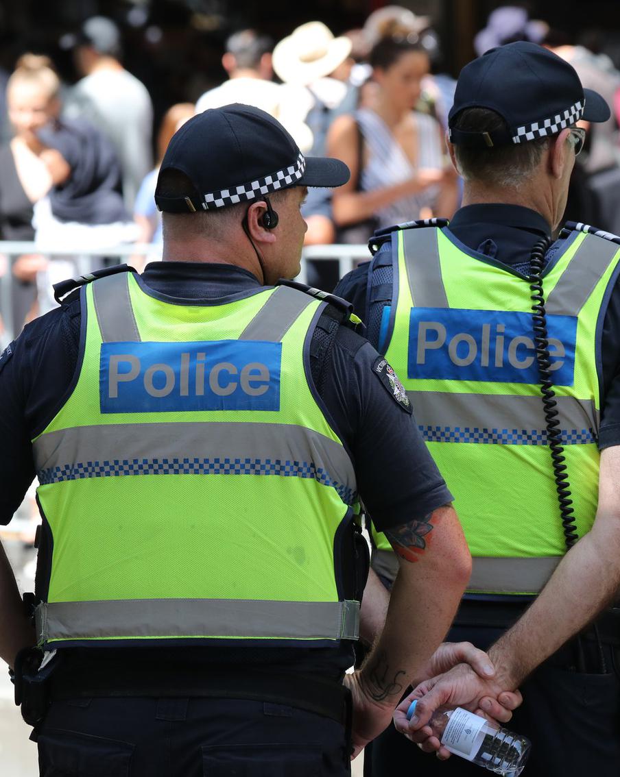 Австралийский нацист сел в тюрьму за вскидывание руки