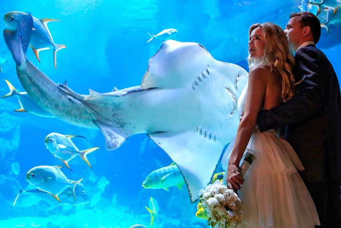 Свадьба под водой впервые пройдёт в Москве