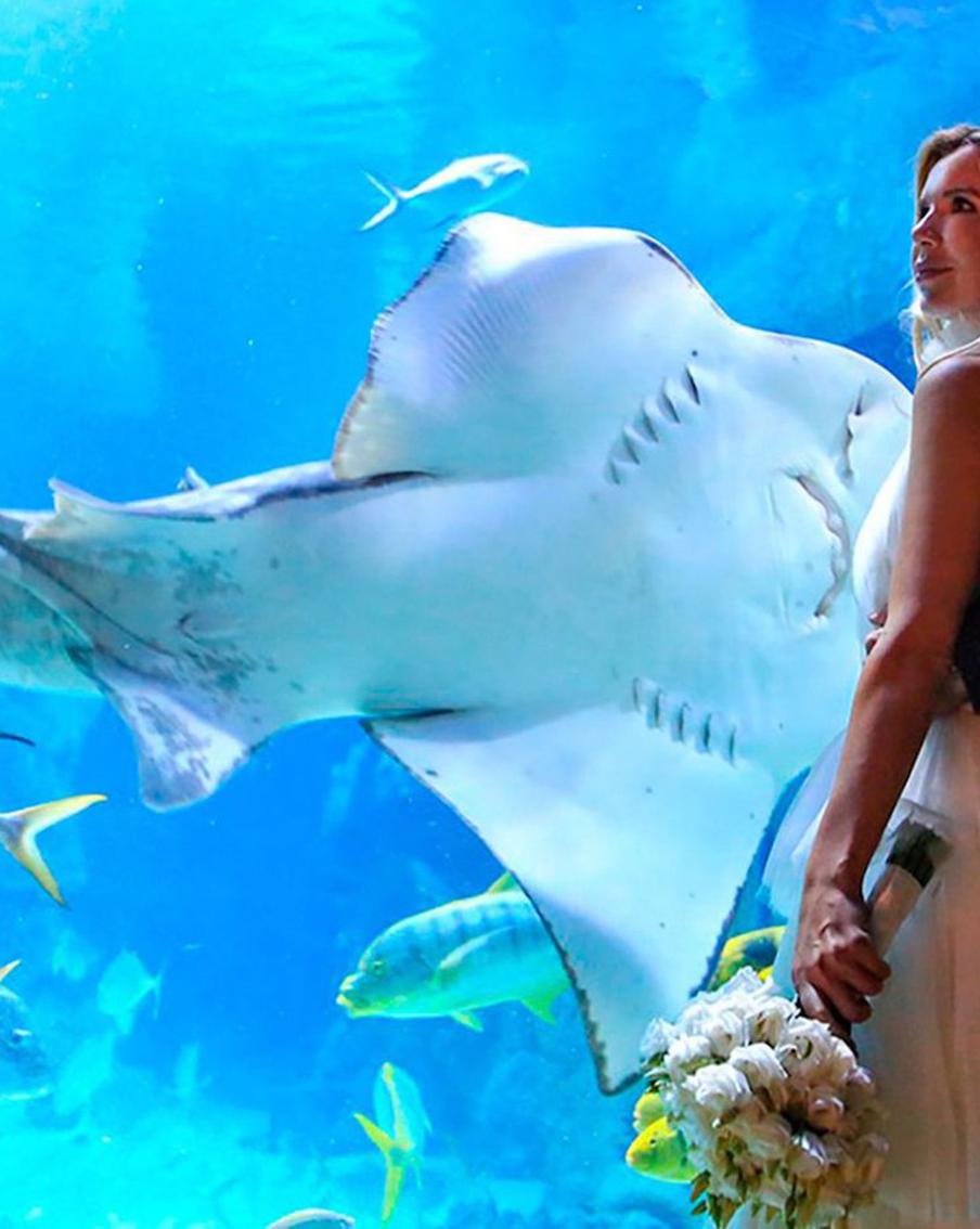 Свадьба под водой впервые пройдёт в Москве