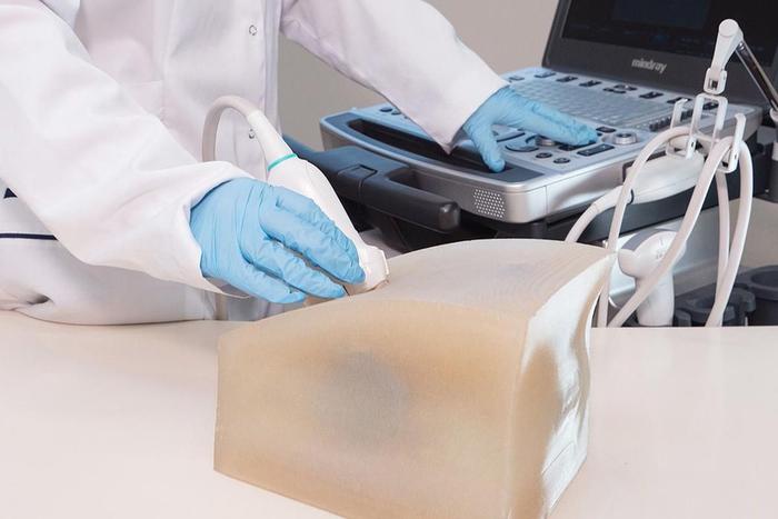 Собянин: В Москве разработали модели органов и тканей для обучения врачей