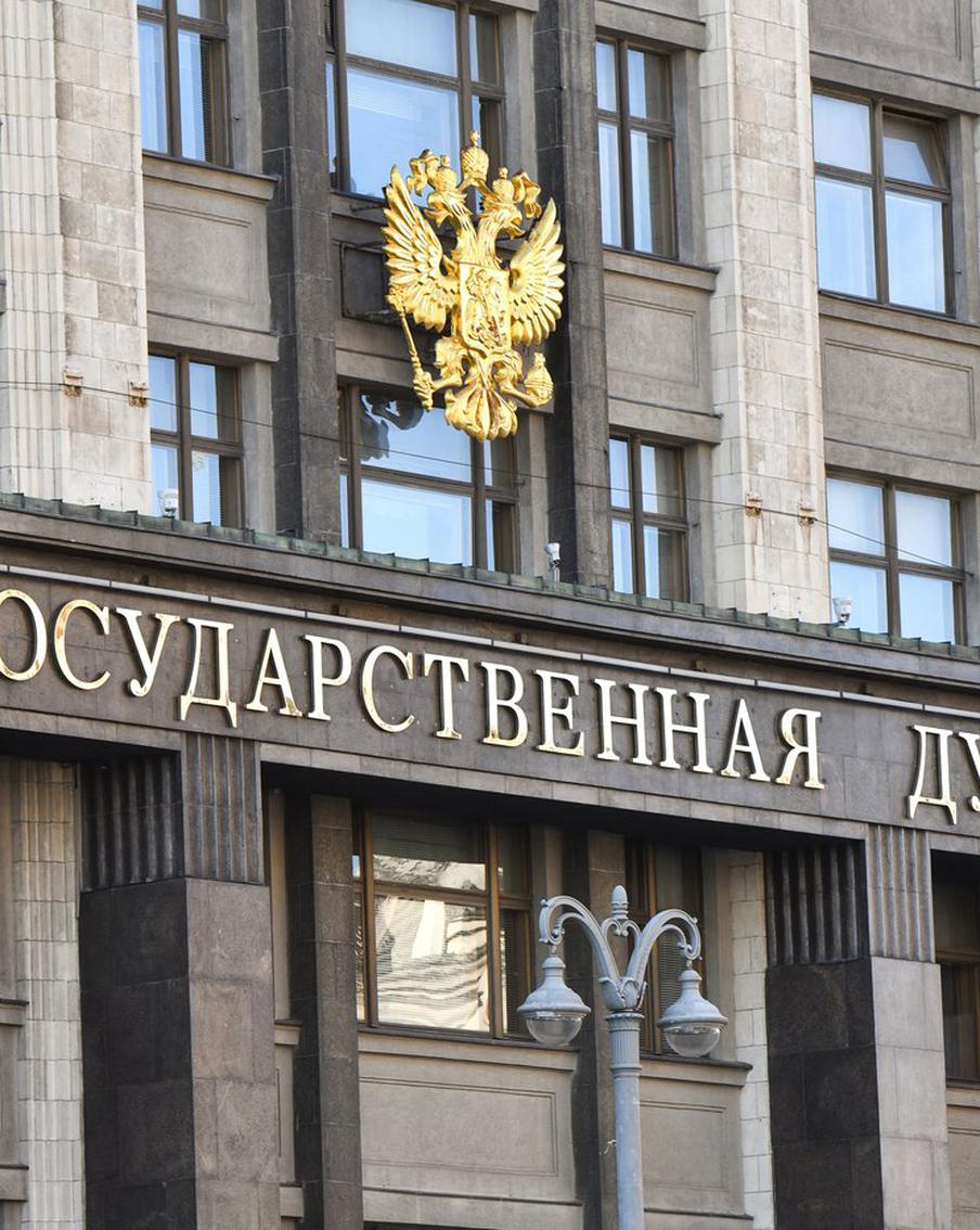 ГД ввела штрафы до 5 млн рублей за пропаганду чайлдфри