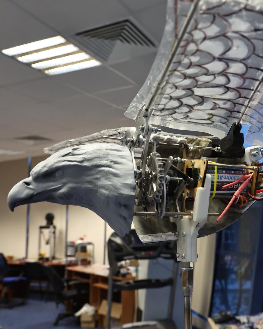 В Физтехе создают птицу-дрона: почему это так сложно в XXI веке