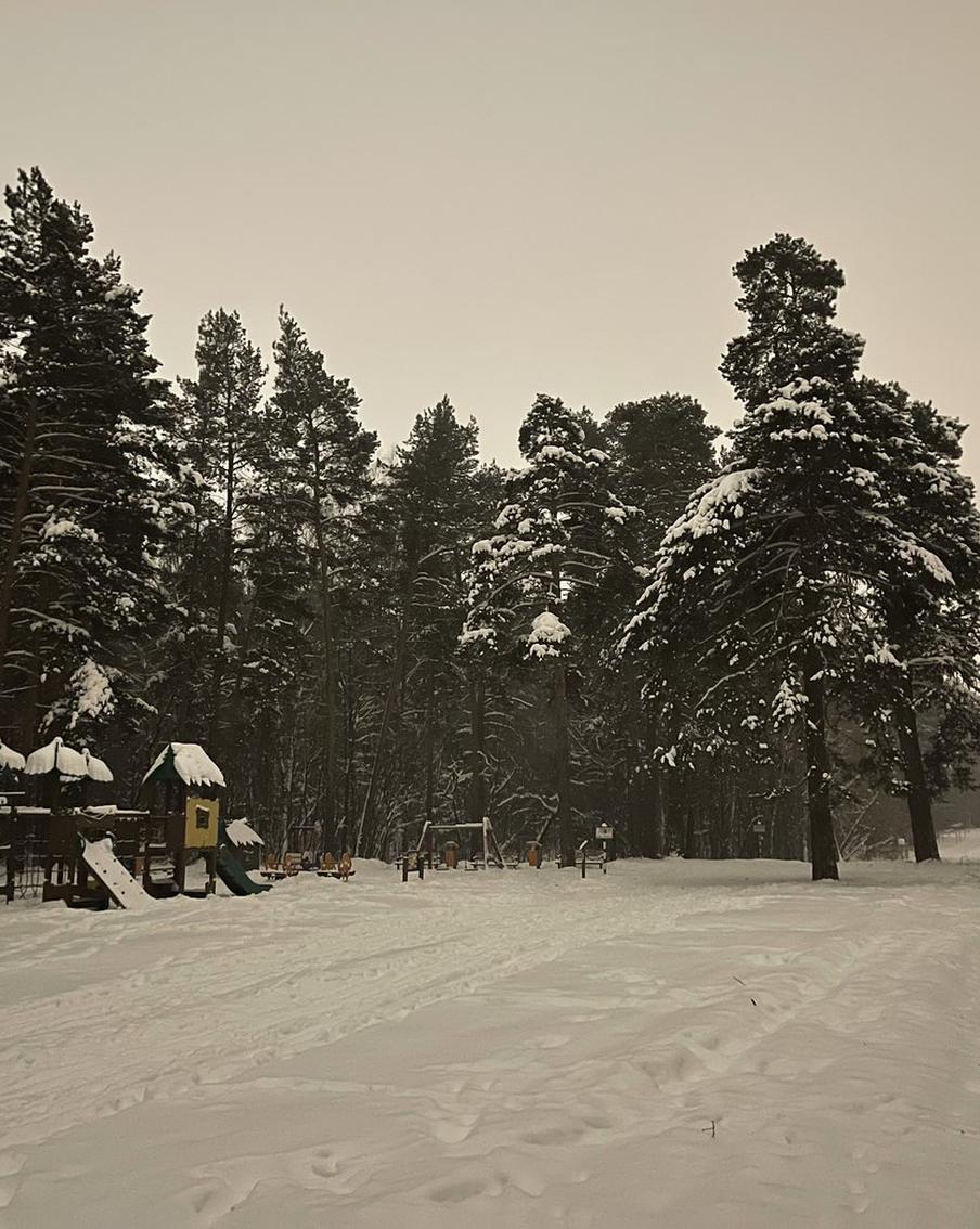Столичный регион начало засыпать снегом