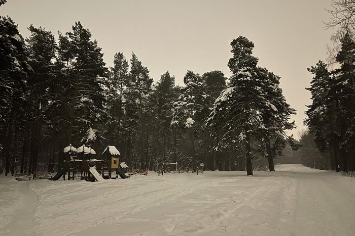 Столичный регион начало засыпать снегом