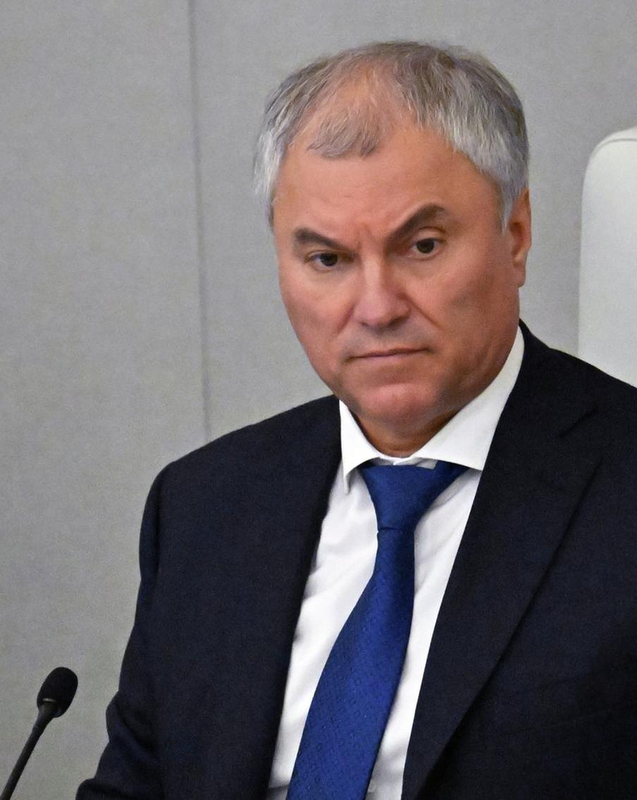 Депутаты Государственной Думы приняли обращение к правительству по миграции