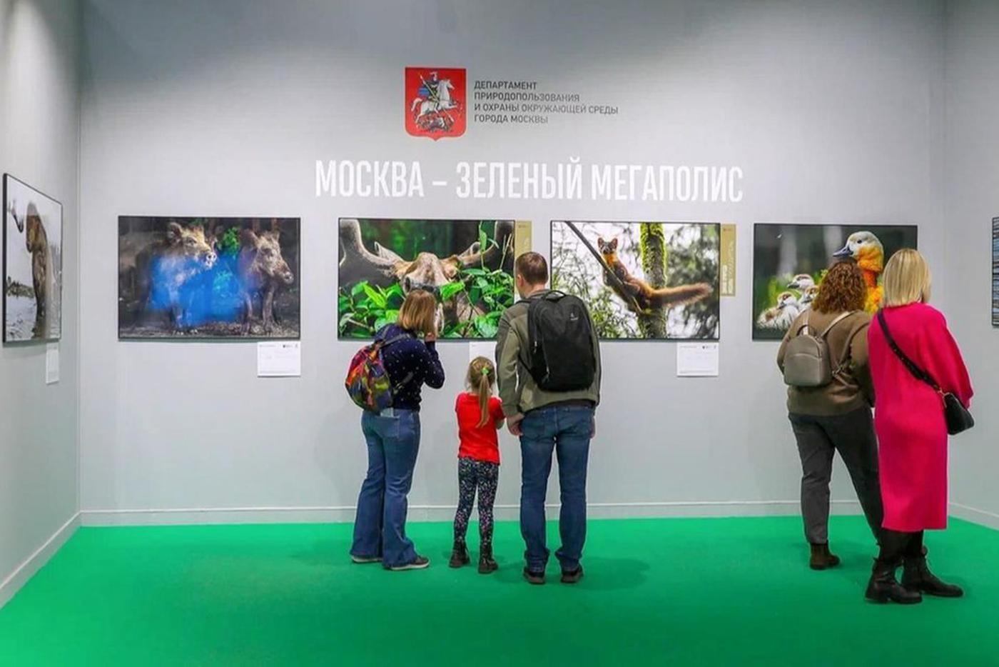 Семьи бойцов СВО познакомят с красотой дикой природы на фотовыставке в Москве