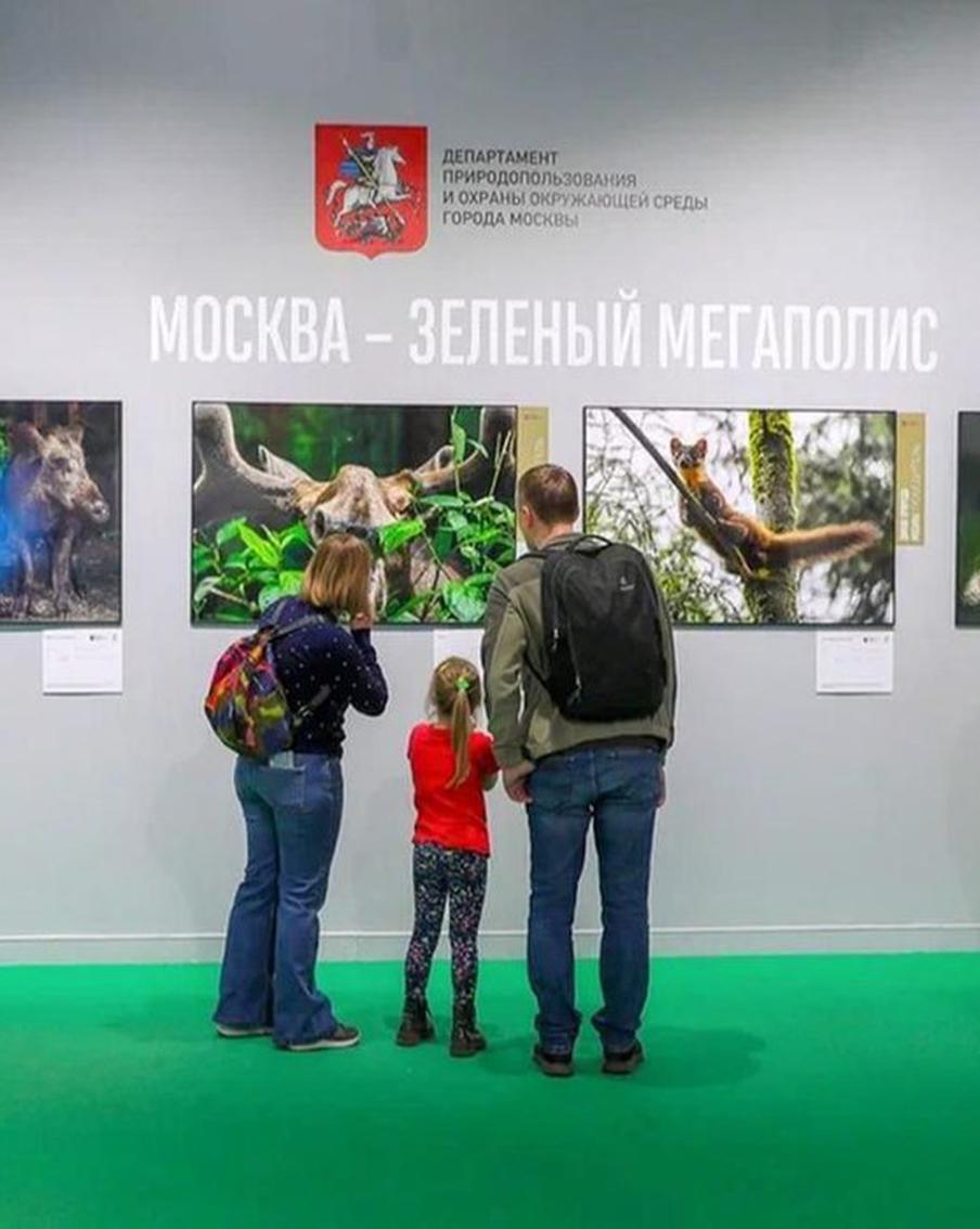 Семьи участников СВО приглашают на экскурсии по выставке "Золотая черепаха"