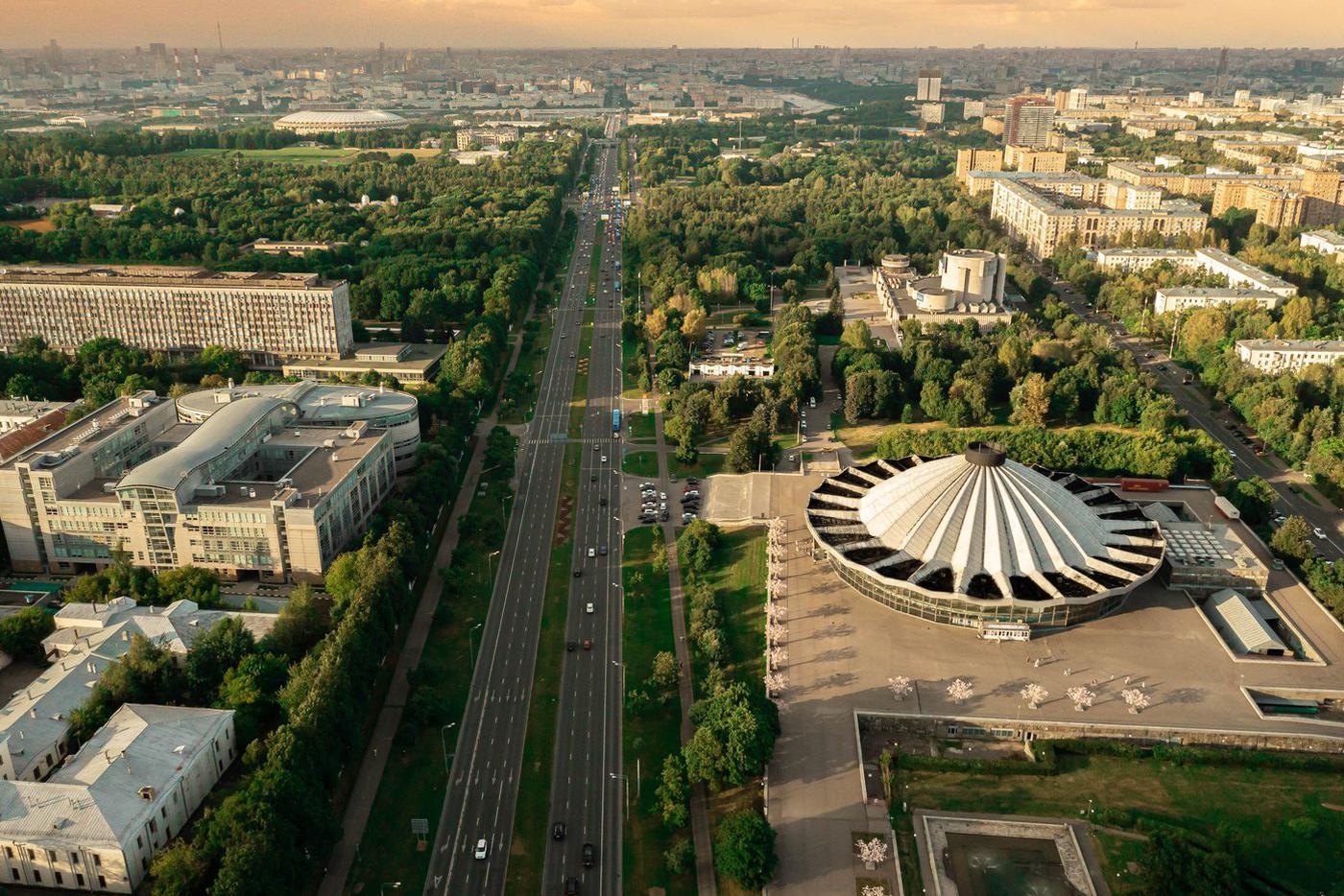 В 2024 году средняя скорость на магистралях в Москве выросла на 5%
