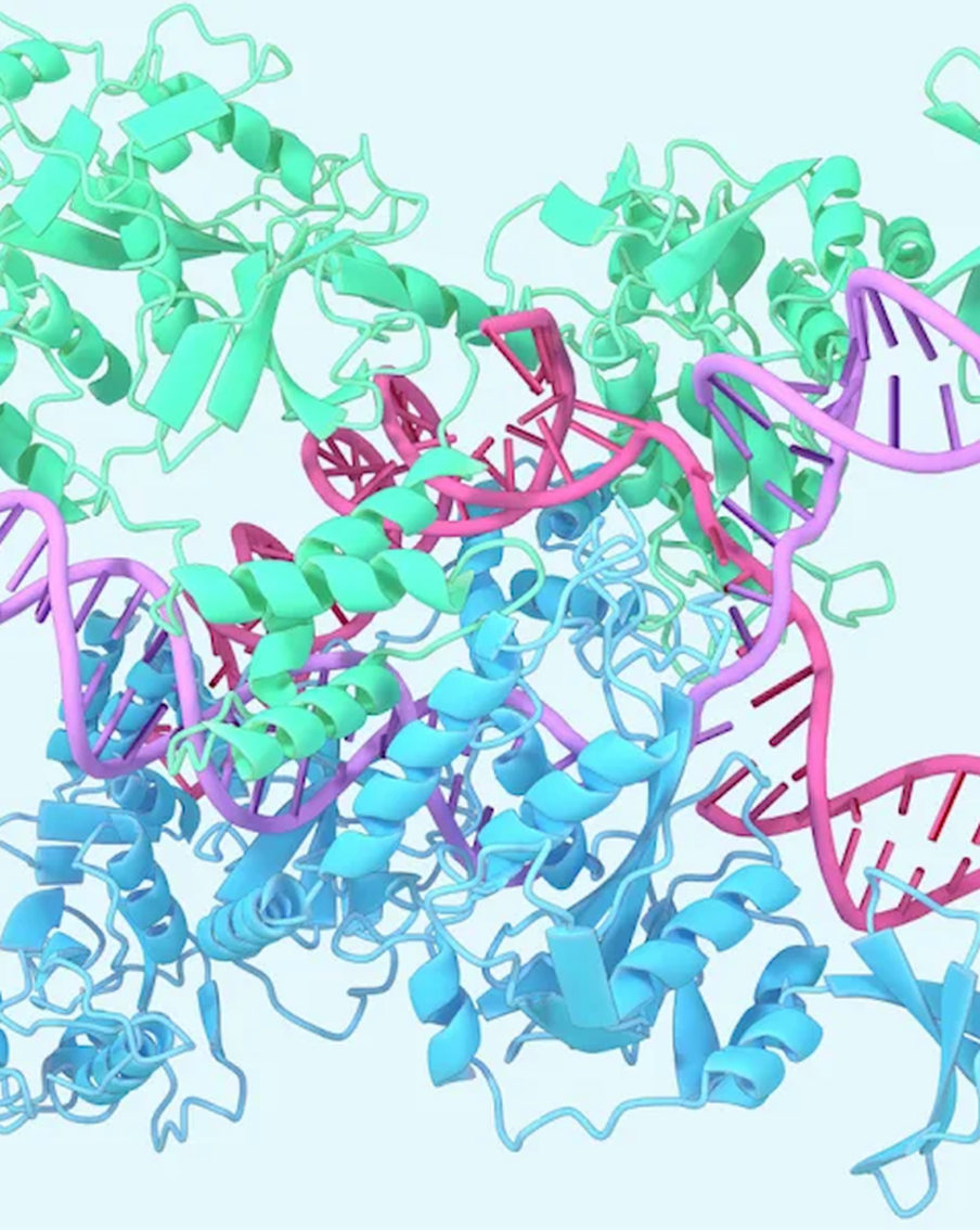 Главные научные достижения уходящего года: ракета Илона Маска, нейросети и вакцина от СПИДа