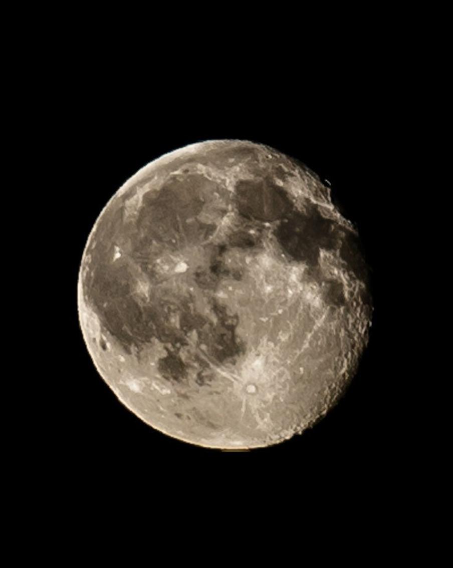 В "Роскосмосе" назвали причину переноса полётов россиян на Луну