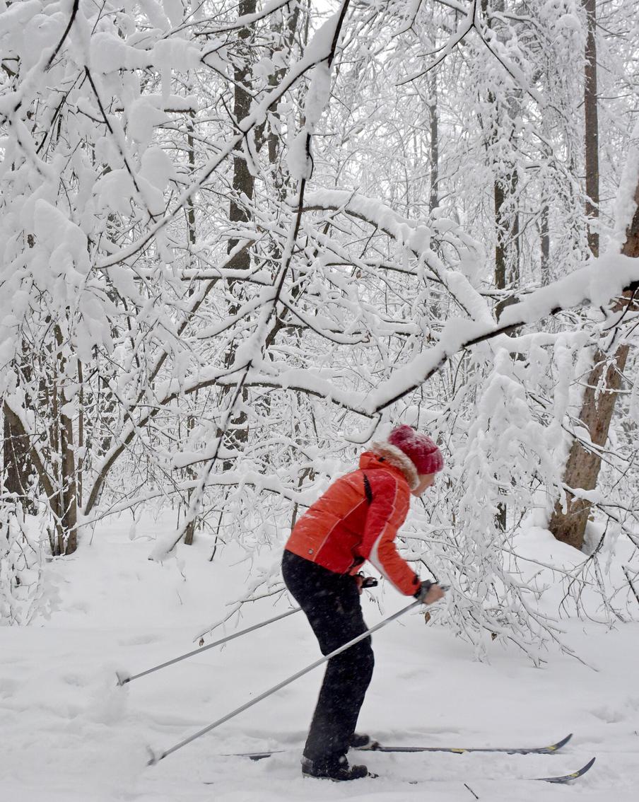 Тренировки по фитнесу, бегу на лыжах и катанию на коньках пройдут в новом спортивном сезоне "Зимы в Москве"